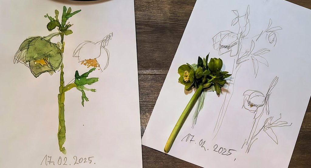 Melita Sorola: Dnevnik proljeća, 2020. – 2025.